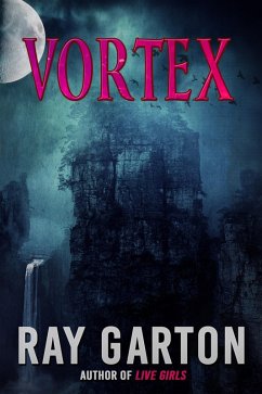 Cover Vortex (eBook, ePUB)