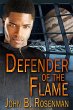 Defender of the Flame (eBook, ePUB) - Bild 1