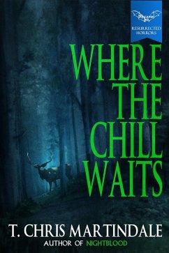 Cover Where the Chill Waits (eBook, ePUB)