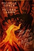 Twin Lakes: Autumn Fires (eBook, ePUB)