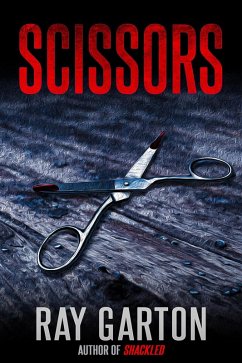 Cover Scissors (eBook, ePUB)