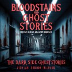 Bloodstains and Ghost Stories: The Dark Side of American Hospitals (eBook, ePUB)