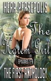 The Harem Girl: The First Anthology (Episodes 1-5) (eBook, ePUB) The Harem Girl: The First Anthology (Episodes 1-5) (eBook, ePUB)