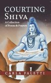 Courting Shiva (eBook, ePUB)