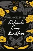 Dilimde Cam Kiriklari Dilimde Cam Kiriklari