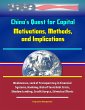 China's Quest for Capital: Motivations,... - Bild 1