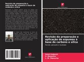 Revisão da preparação e aplicação de espumas à base de carbono e sílica