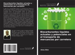 Biocarburantes líquidos actuales y potenciales en el transporte de mercancías por carretera Cover Biocarburantes líquidos actuales y potenciales en el transporte de mercancías por carretera
