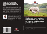 Études sur les avantages nutritionnels des pelures de manioc biodégradées pour les brebis
