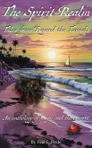 The Spirit Realm (eBook, ePUB)