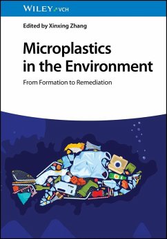 Cover Microplastics in the Environment (eBook, PDF)