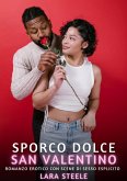 Sporco Dolce San Valentino (eBook, ePUB)