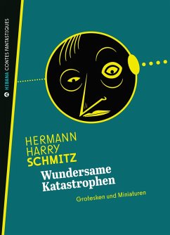 Cover Wundersame Katastrophen