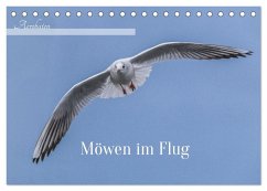 Cover Aerorobaten - Möwen im Flug (Tischkalender 2026 DIN A5 quer), CALVENDO Monatskalender
