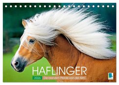 Haflinger: Die blonden Pferde von der Alm (Tischkalender 2026 DIN A5 quer), CALVENDO Monatskalender