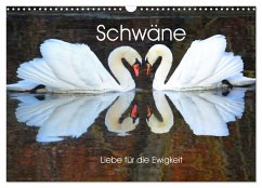 Schwäne, Liebe für die Ewigkeit (Wandkalender 2026 DIN A3 quer), CALVENDO Monatskalender Schwäne, Liebe für die Ewigkeit (Wandkalender 2026 DIN A3 quer), CALVENDO Monatskalender