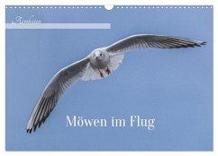 Cover Aerorobaten - Möwen im Flug (Wandkalender 2026 DIN A3 quer), CALVENDO Monatskalender
