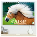 Haflinger: Die blonden Pferde von der Alm (hochwertiger Premium Wandkalender 2026 DIN A2 quer), Kunstdruck in Hochglanz