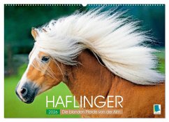 Haflinger: Die blonden Pferde von der Alm (Wandkalender 2026 DIN A2 quer), CALVENDO Monatskalender - Calvendo