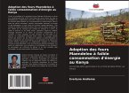 Adoption des fours Maendeleo à faible consommation d'énergie au Kenya