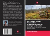 Adoção de fogões Maendeleo economizadores de energia no Quénia