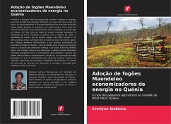 Cover Adoção de fogões Maendeleo economizadores de energia no Quénia