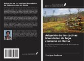 Adopción de las cocinas Maendeleo de bajo consumo en Kenia