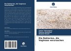 Die Bakterien, die Vaginose verursachen