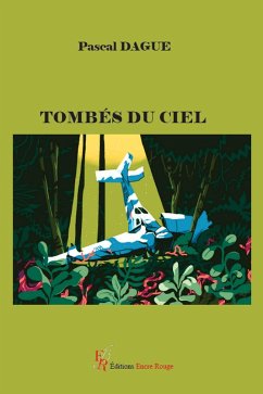 Cover Tombés du ciel (eBook, ePUB)