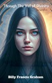 Through the Veil of Divinity (eBook, ePUB)