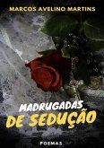 Madrugadas De Sedução (eBook, ePUB)