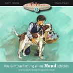 Wie Gott zur Rettung einen Hund schickte und andere Andachtsgeschichten (MP3-Download)