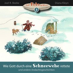 Wie Gott durch eine Schneewehe rettete und andere Andachtsgeschichten (MP3-Download) - Beeke, Joel R.; Kleyn, Diana