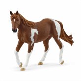 Schleich 14901 - Horse Club, Paint Horse Stute, Höhe: 10,5 cm Schleich 14901 - Horse Club, Paint Horse Stute, Höhe: 10,5 cm
