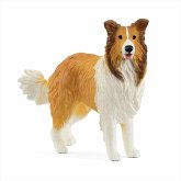 Schleich 13998 - Farm World, Collie, Höhe: 5,4 cm Schleich 13998 - Farm World, Collie, Höhe: 5,4 cm