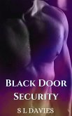 Black Door Security (eBook, ePUB) Black Door Security (eBook, ePUB)