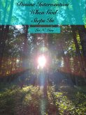 Divine Intervention When God Steps In (eBook, ePUB)