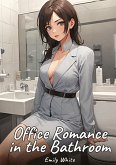 Office Romance in the Bathroom Office Romance in the Bathroom