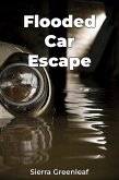 Flooded Car Escape (eBook, ePUB)