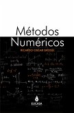 Métodos numéricos (eBook, ePUB)