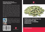 Reformas bancárias no crescimento das pequenas e médias empresas Reformas bancárias no crescimento das pequenas e médias empresas