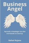 Business Angels en Acción