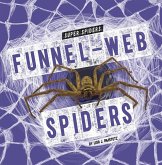 Funnel-Web Spiders Funnel-Web Spiders
