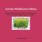 Auf der Wildblumen-Wiese