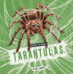 Tarantulas