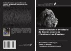 Inmovilización y anestesia de leones asiáticos (Panthera Leo Persica)