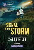 Signal in the Storm Signal in the Storm