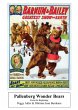 Pallenberg Wonder Bears - From the... - Bild 1