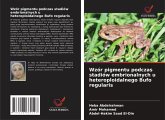 Wzór pigmentu podczas stadiów embrionalnych u heteroploidalnego Bufo regularis Wzór pigmentu podczas stadiów embrionalnych u heteroploidalnego Bufo regularis