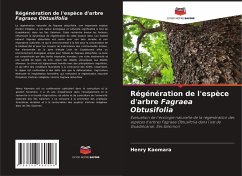 Régénération de l'espèce d'arbre Fagraea Obtusifolia - Kaomara, Henry